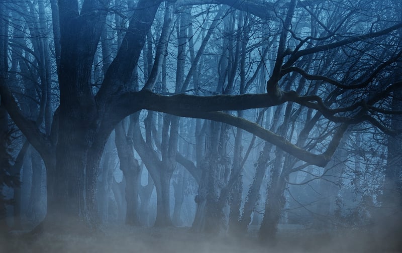 Eerie Shadows